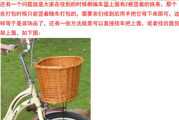 Panier pour vélo FLYING PIGEON en vigne - Ref 2257725 Image 14