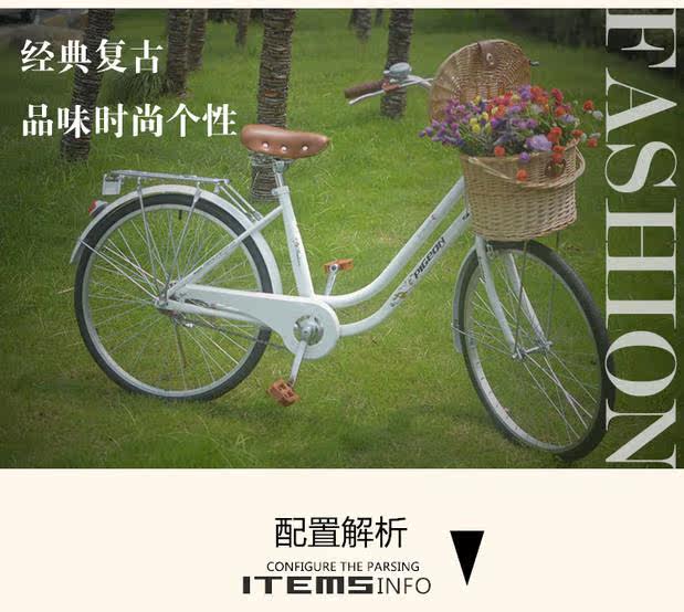 Panier pour vélo FLYING PIGEON en vigne - Ref 2257725 Image 7