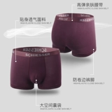 Нижнее белье, дышащие штаны, шорты, Германия, средняя посадка