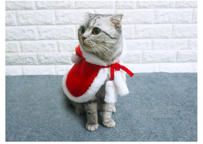 67g Weight Costume Props Event & Party Supplies Pet Clothing Type Of Pet Supplies 1 Piece Quantity Daily Occasion Flannel Material Christmas Festival Color Block Pattern Winter Season Simple Style Style Simple Style Flannel Christmas Color Block Pet Clothing 1 Piece 1