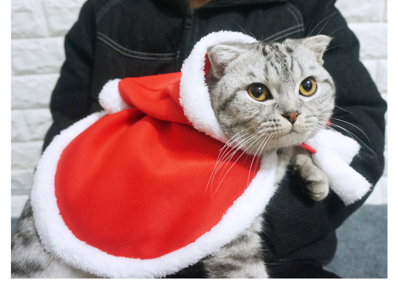 67g Weight Costume Props Event & Party Supplies Pet Clothing Type Of Pet Supplies 1 Piece Quantity Daily Occasion Flannel Material Christmas Festival Color Block Pattern Winter Season Simple Style Style Simple Style Flannel Christmas Color Block Pet Clothing 1 Piece 无