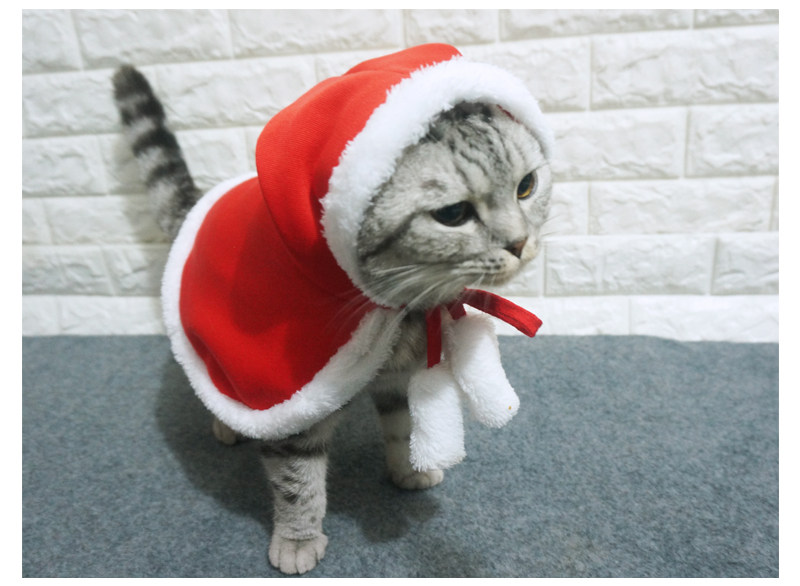 67g Weight Costume Props Event & Party Supplies Pet Clothing Type Of Pet Supplies 1 Piece Quantity Daily Occasion Flannel Material Christmas Festival Color Block Pattern Winter Season Simple Style Style Simple Style Flannel Christmas Color Block Pet Clothing 1 Piece 3