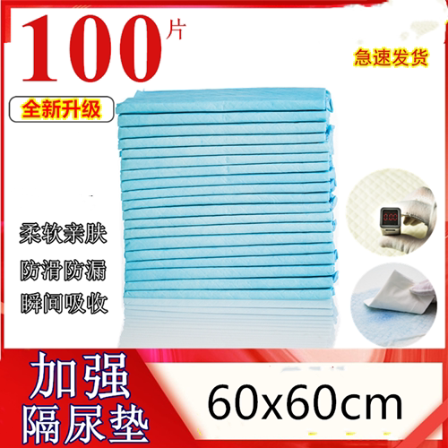 Adult Disposable Care Mat 60X60 Economy Large Number of Elderly with Urine Pad Aged Paper Diaper Paper Urine Mat