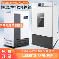 Biochemical incubator light BOD incubator bacteria microorganism mold incubator constant temperature and humidity chamber laboratory