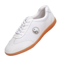 Jinwu Tai Chi Shoes Womens Genuine Leather Tendon Bottom Mens Summer Martial Arts Shoes Soft Leather Tai Chi Practice Shoes Mesh