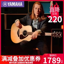 YAMAHA Guitar FG800 Veneer Acoustic guitar FG820 YAMAHA Electric box Acoustic guitar FGX800C