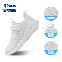 Джордан Уайт/Серебряный четыре сезона Леброн