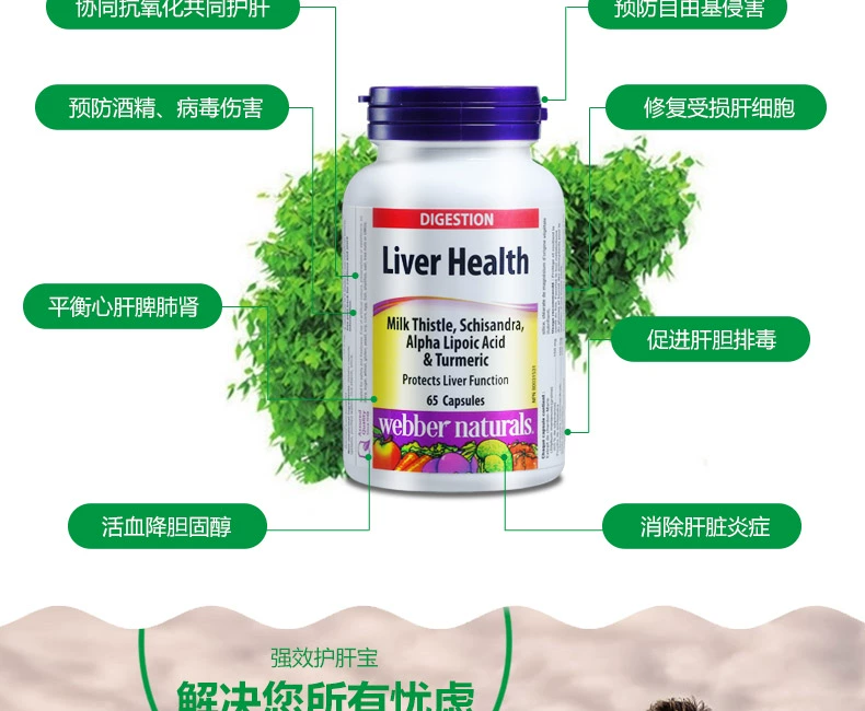 Weibo Webber Naturals Sữa Thistle ngoài giờ và các sản phẩm cho sức khỏe gan - Thức ăn bổ sung dinh dưỡng các loại thực phẩm chức năng