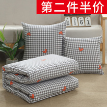 Water washing cotton pillow quilt dual-use car office lunch break pillow cushion cushion by small pillow summer quilt