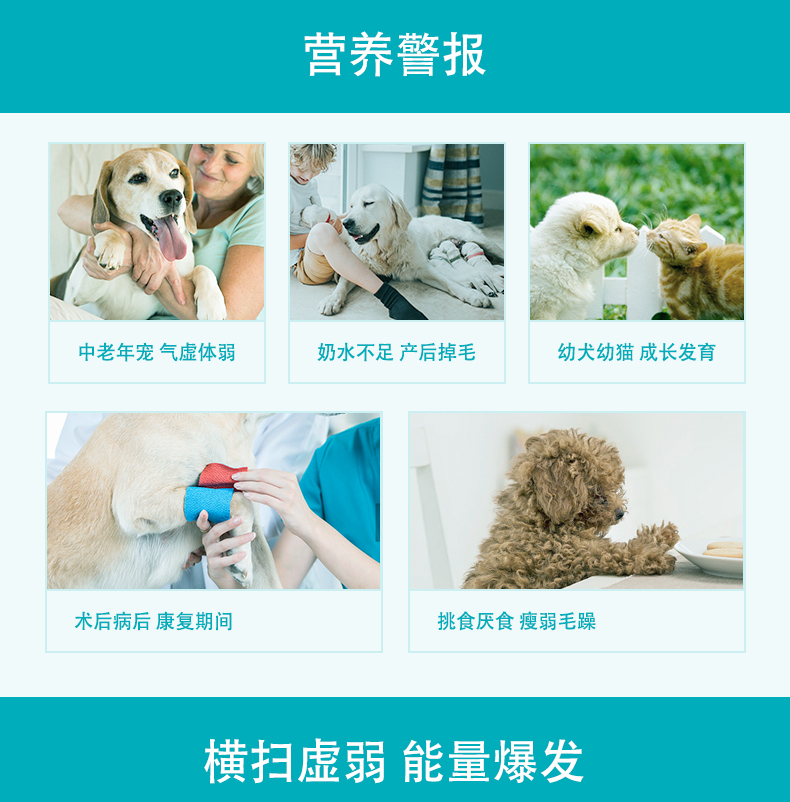 Wei Shi dog kem dinh dưỡng thú cưng Teddy chó con mang thai mèo với vitamin bảo vệ nguyên tố vi lượng - Cat / Dog Health bổ sung sữa cho mèo sơ sinh