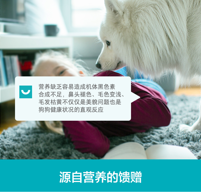 Wei Shi hạt rong biển lông đẹp lecithin 220g bột chó cưng mèo lông bông vàng hơn gấu satsuma mũi đen - Cat / Dog Health bổ sung sữa bột cho mèo sơ sinh	
