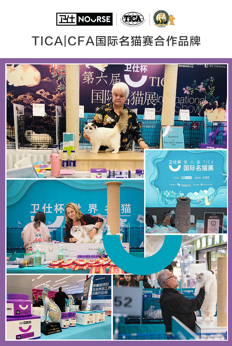 Wei Shi mèo đặc biệt vitamin tổng hợp cho thú cưng chế biến xúc xích mềm phân dinh dưỡng vitamin B - Cat / Dog Health bổ sung sữa bột cho chó con