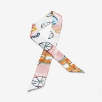 Порошок перевозки