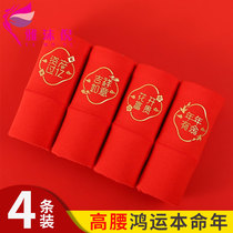 Underpants women cotton high waist belly antibacterial belongs to the Tiger Red year Big Red Middle waist cotton wedding triangle shorts head