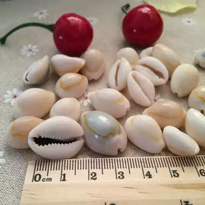 Natural Huangbaoluo 1 yuan 3 shells conch fish tank aquarium aquarium landscaping platform home decoration decoration about 2cm