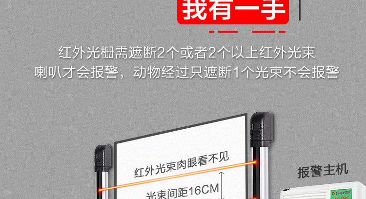 новый Растр 2_29.jpg