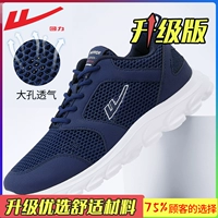 Тибетский Цин [Введение в сетку]