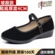 (Модель Black-ed