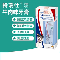  Pet toothbrush toothpaste set Beef flavor Teruishi in addition to bad breath and calculus removal method Teddy dog oral cleaning