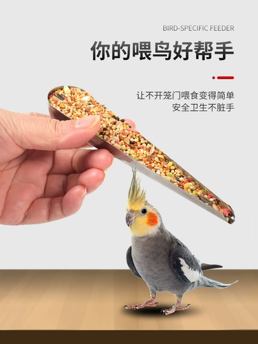 Tiger Parrot Feeder Bird Product