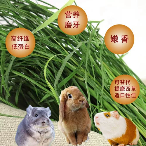 Высушенные фруктовые дерево