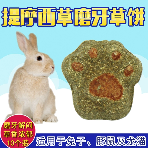 Totoro закуски голландские свиньи, кроличье кроличье корм