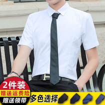 Summer white shirt mens short-sleeved Korean slim solid color business dress tooling work occupation long-sleeved white shirt inch