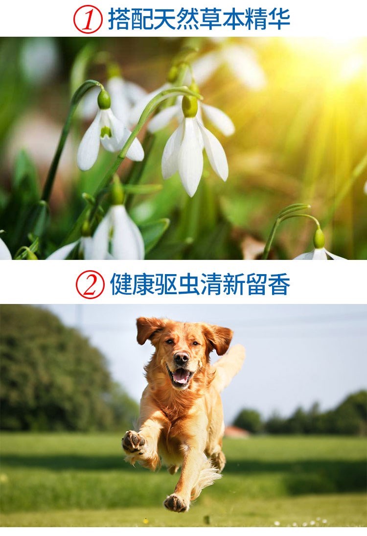 Pet dog tẩy giun ngoài diệt côn trùng chó mèo và chó tẩy giun trong ống nghiệm ngoài phun thuốc diệt bọ chét - Cat / Dog Medical Supplies 	các loại kim tiêm trong thú y	