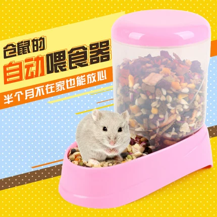 Хомяки золотой медведь бассейн пищевой чаша Спецификация пищевого бассейна образует рис рис, висящие молотки, продукты