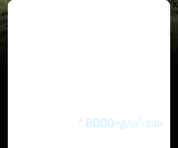 contentImage100_75102