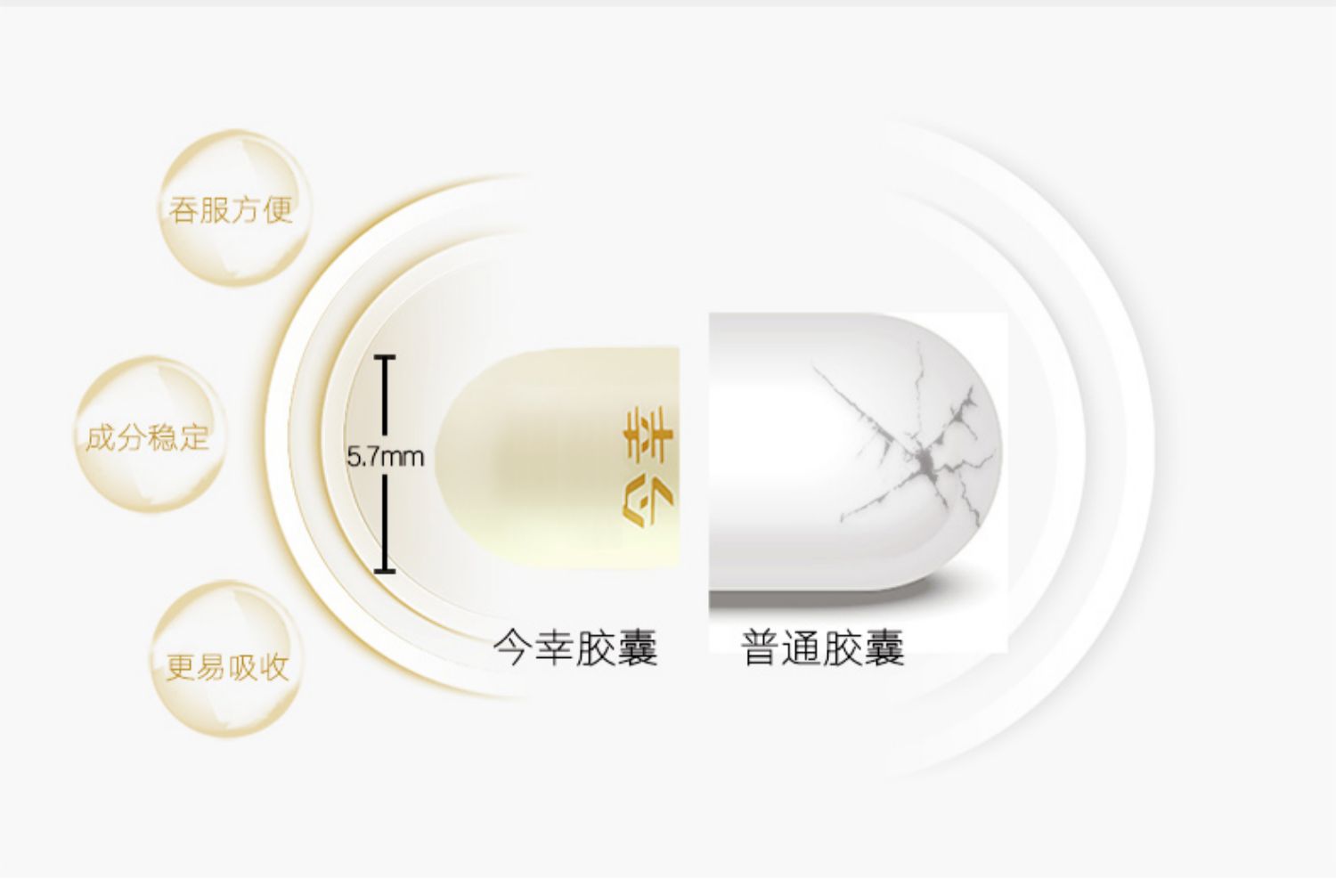 人参皂苷Rh2胶囊今幸6号