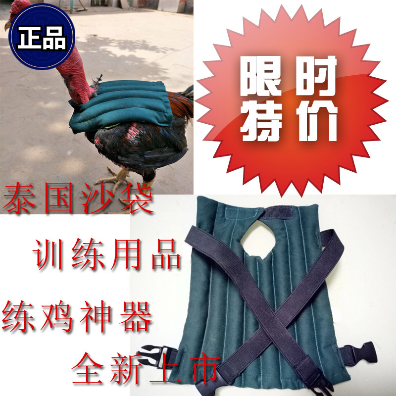Bucket Chicken Sandbag Bucket Chicken Back Sandbag Thai Fighting Chicken Sandbag Fighting Chicken Training Supplies Bucket Chicken Sandbag