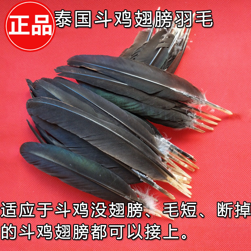 Fighting Chicken Fighting Chicken Wings Feather Cockpit Chicken Wings fighting Chicken Picking up Stuffed Gun Fighting Chicken Training Supplies Bucket Chicken Wings-Taobao