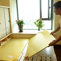 Электрическая нагревательная пластина Sanyu Home Electric Electric Peating Board может корректировать температуру без радиации корейская электрическая нагревательная колодка из углеродного волокна Огненная мотыга