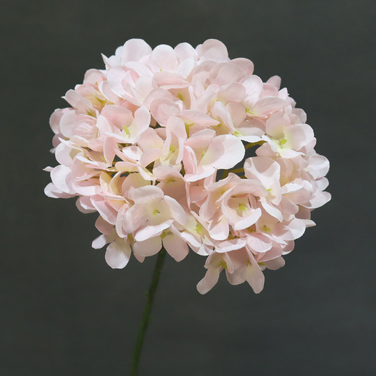 Розовый свадебный искусственный цветок, шелковый цветок, 10 шт., украшение для свадебного зала, шелковый цветок, потолок, дорожное руководство, цветочная композиция, цветочное искусство