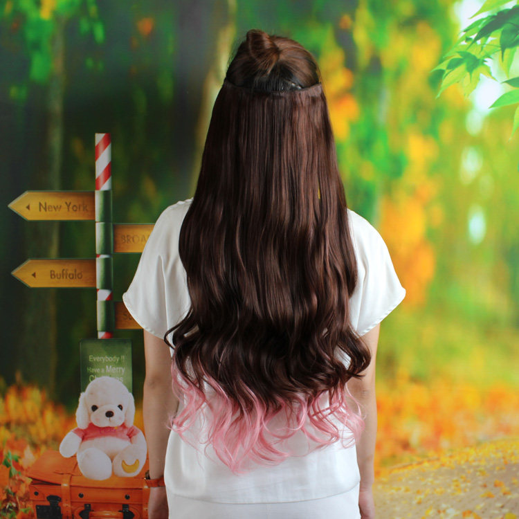 Extension cheveux - Ref 217317 Image 8