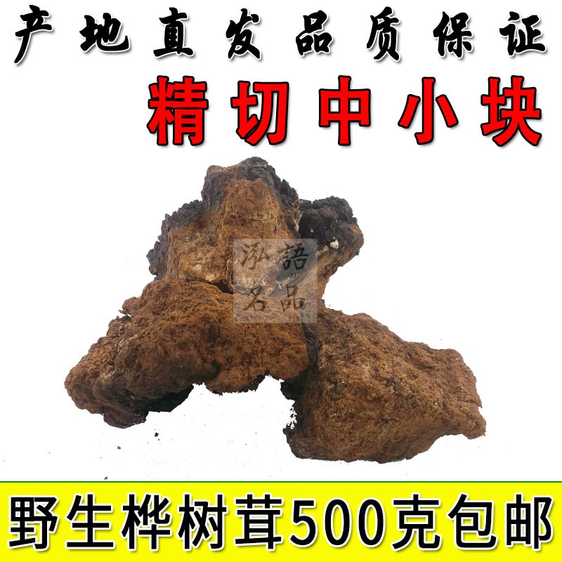 White birch birch brown pore fungus Northeastern special production Changbai Mountain wild birch tree tears birch mulberry yellow cut block 500g