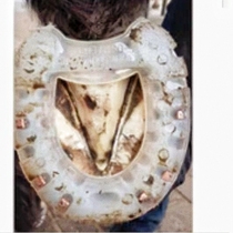 Speed horse racing race horse horseshoe iron polyurethane anti-slip abrasion resistant horse shoe horse house supplies lead Matthew hooves