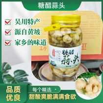 Garlic Wuchuan Huangpo specialty sweet and sour garlic sweet garlic garlic garlic pickles Pickles sugar delicious