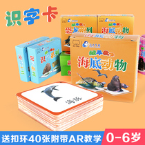 Every day early education infant children literacy card 0-3-6 years old baby preschool picture puzzle enlightenment cognitive card