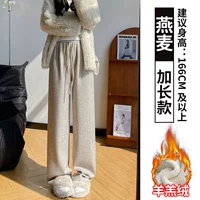 Овес ясноват [расширенная модель]