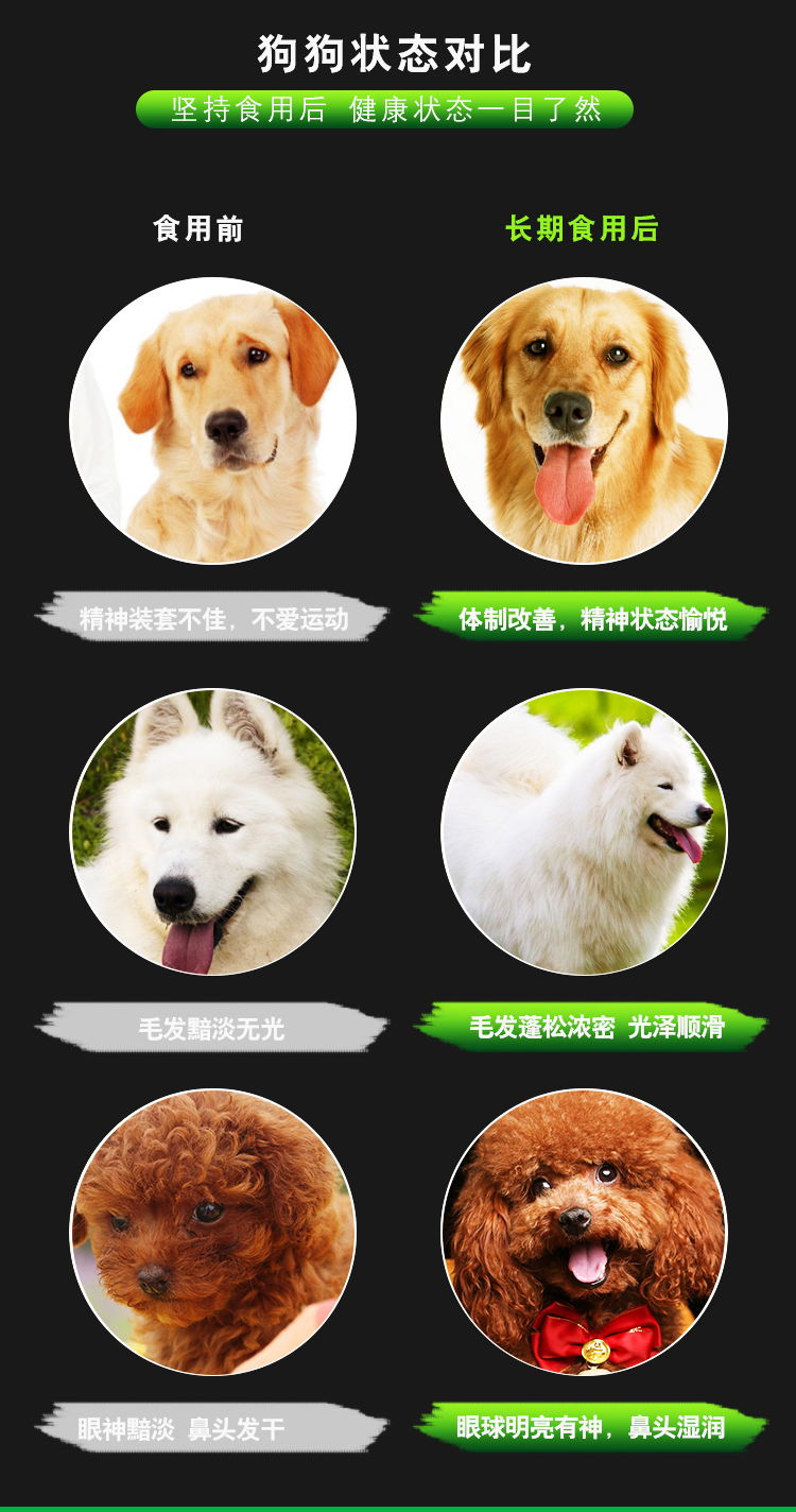 Thức ăn cho chó Úc và Mỹ số lượng lớn mục đích chung 5 kg Teddy Golden Mao Samoyed VIP chó nhỏ và vừa cỡ lớn thức ăn cho chó trưởng thành đồ ăn cho chó con