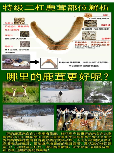 Северо -восточный китайский олень Antoles ТАБЛИЦА ПОДЕРЯТЬ ДРЕЙНА