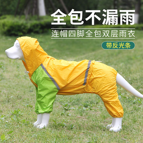 chow chow raincoat