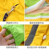 [Очистка] Дог и собака плащ