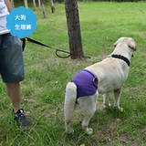 Физиологические штаны для собак золотые брюки мао юэ мужские брюки собака собака собака собака собака Большая собака Педант Большая собака Корки