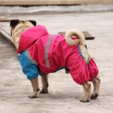 [Очистка] Дог и собака плащ