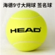 Head Hyde Big Tennis Chữ ký Bóng tập thể dục trẻ em Đồ chơi bóng trang trí