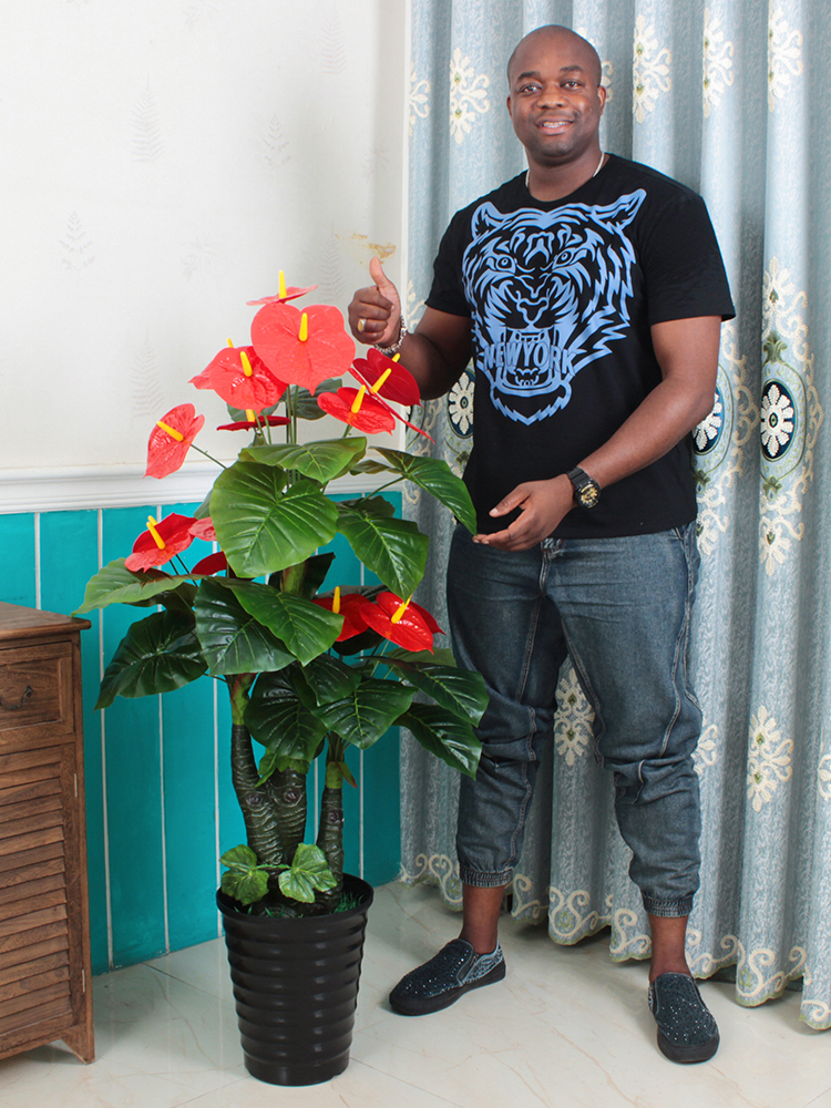 Fake Fire Crane Hung Hyun Simulated Plant Tree Pot Plant Located in Living Room Office of Large Green Plant Decoration Flowers