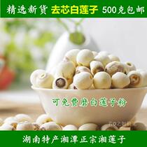 No added farmhouse self-produced white lotus seeds dry goods coreless lotus seeds 500g special wild bulk
